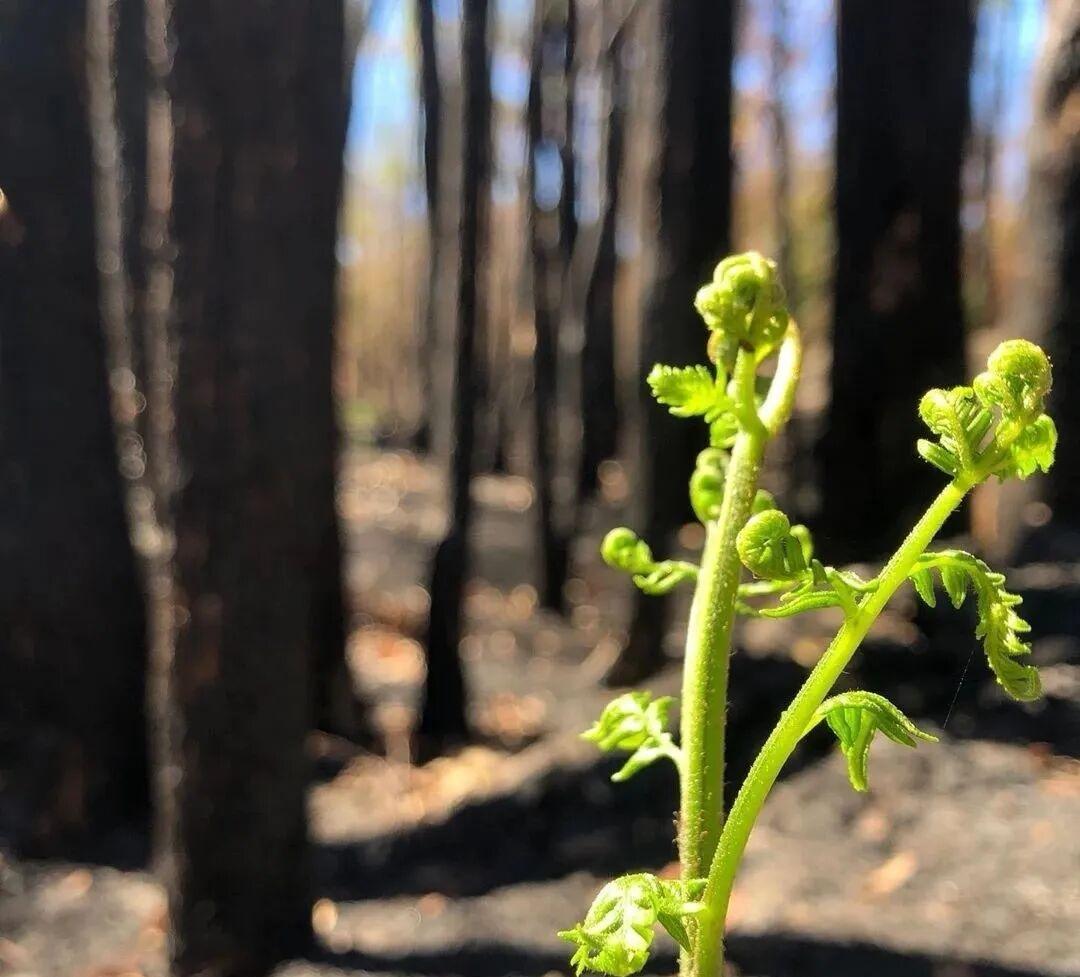 我老家那边有个非常偏僻的乡镇卫生院，早些年曾经以给那些喝农药自杀的人“灌肠洗胃”