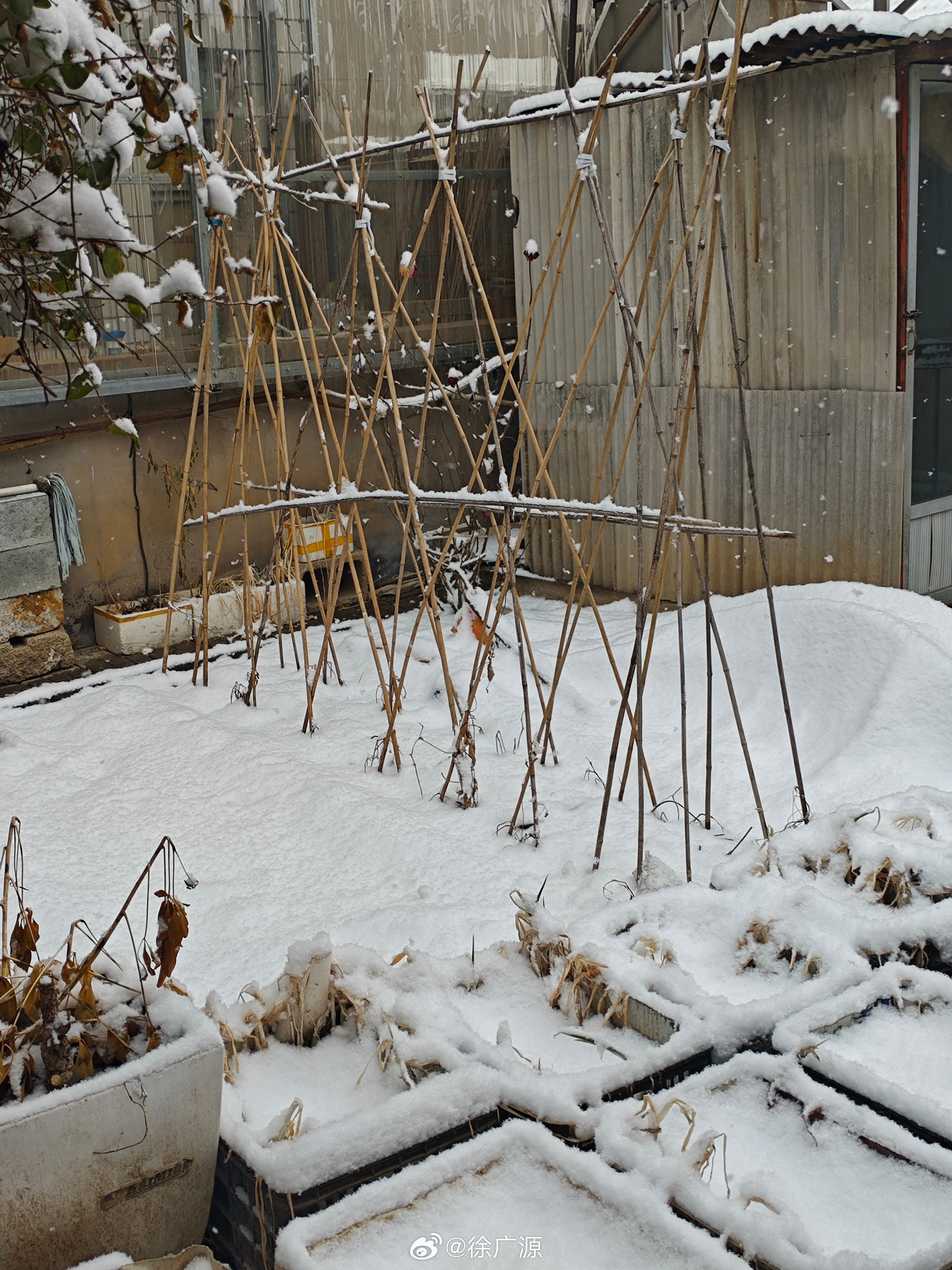 瑞雪兆丰年！东陵、马兰峪地区下了一场大雪，从昨晚就开始下小雪，到现在仍在下着，由