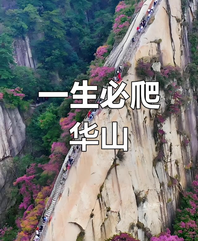 25岁独游者殒命华山: 景区防护为何总在出事后才升级?