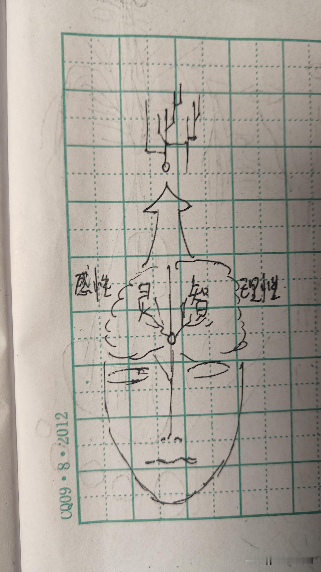 大脑藏着太极规律：男女大脑差异，竟是阴阳分工？人脑左右半球各司其职：左脑主