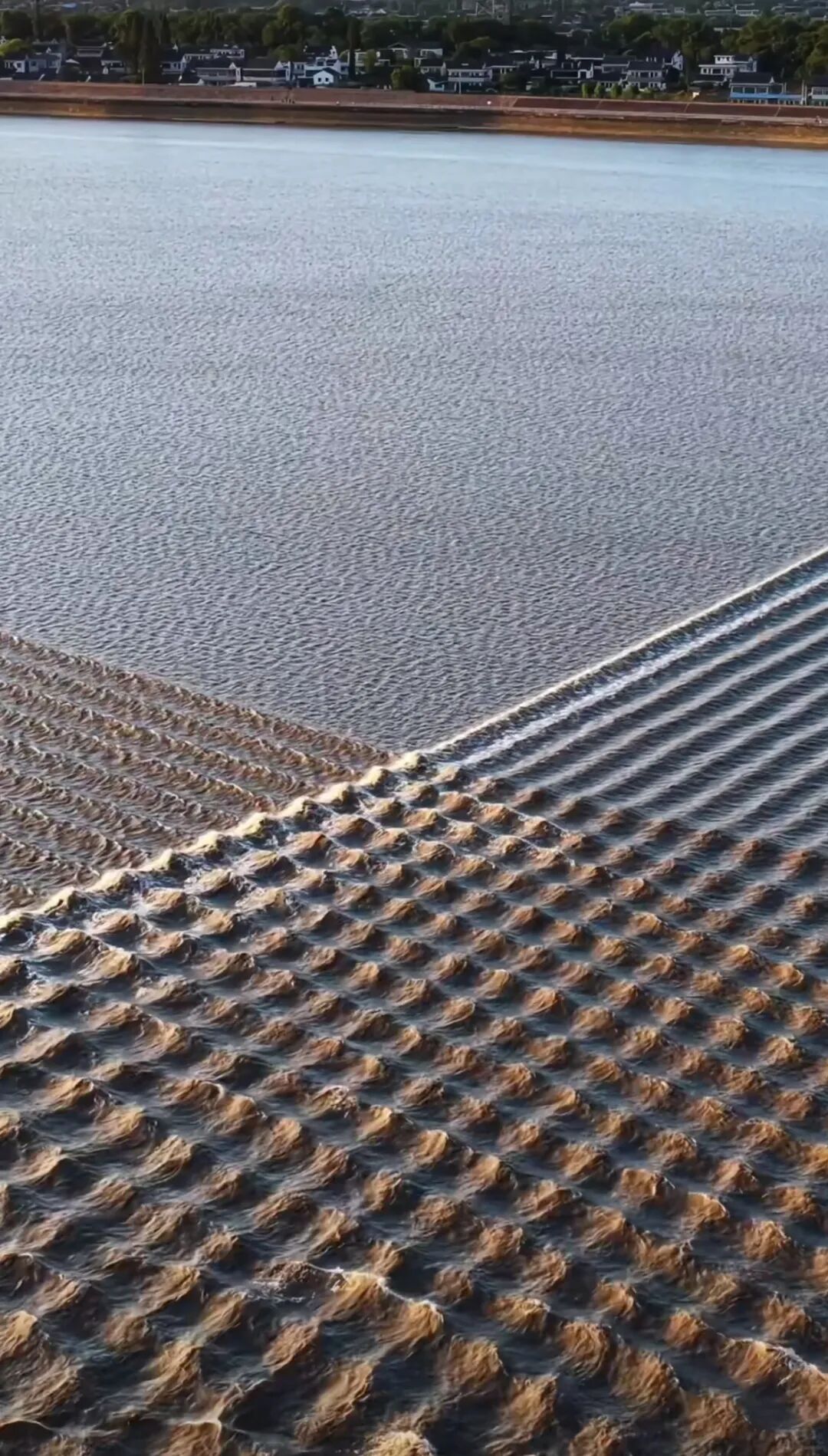 通过潮水学点儿物理