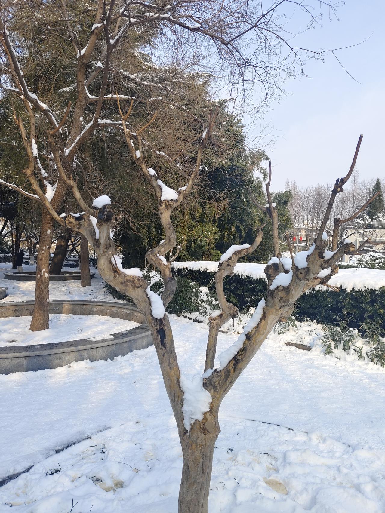 昨天看了一篇文章，叫做《绝不贱卖自己》，真的很不错。正好前几天去面试一家公司