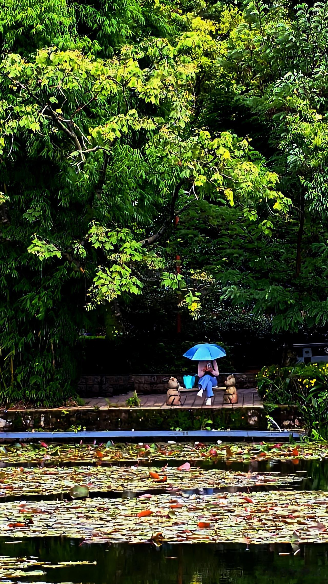 南京终于盼来大雨啦，本以为天气能凉快起来。但看这情况，不一定呢。8月10-1
