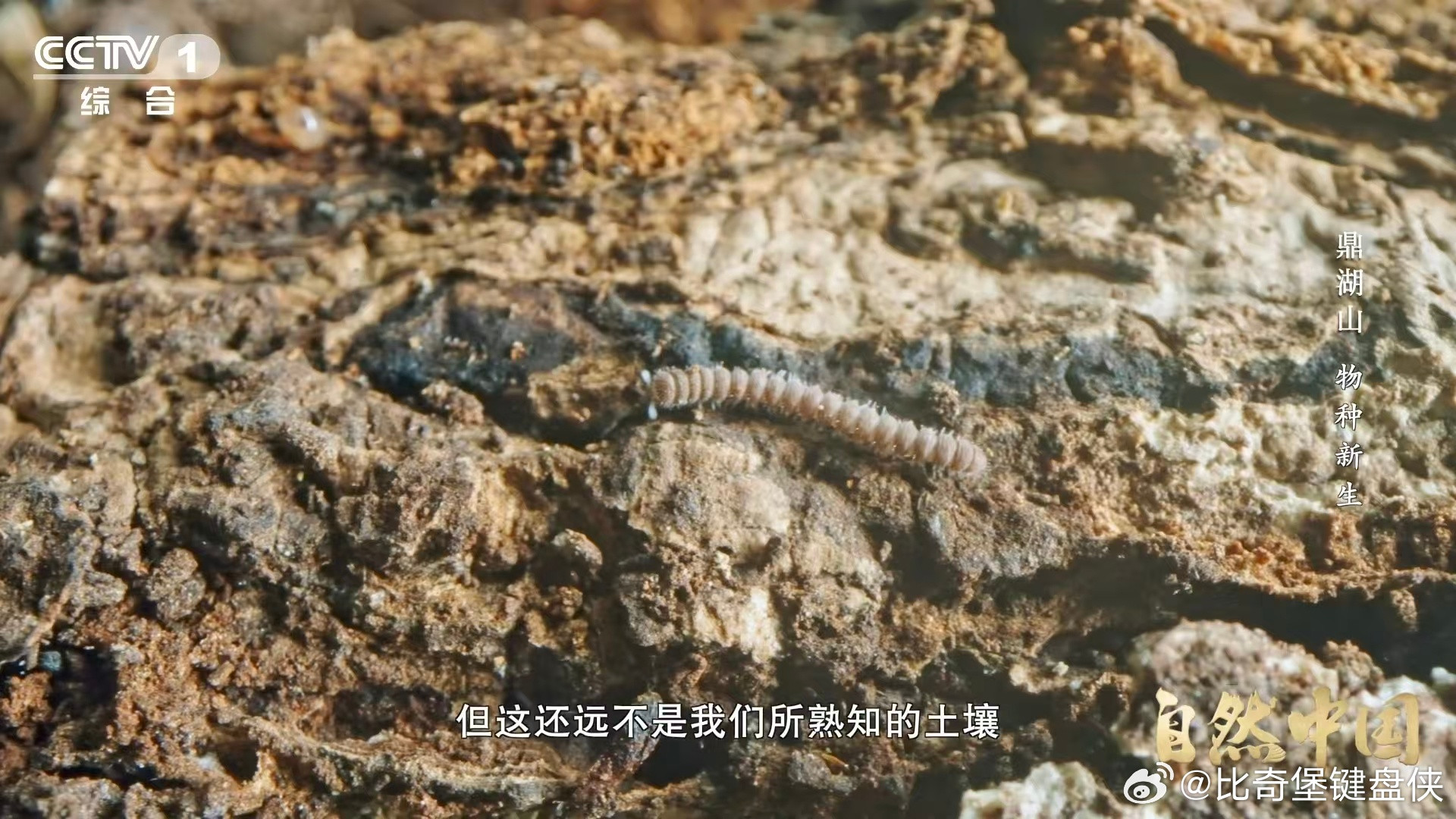 土壤的土腥味从何而来原来土壤的土腥味是有科学原因的🔍在鼎湖山闻到的味道，证明土