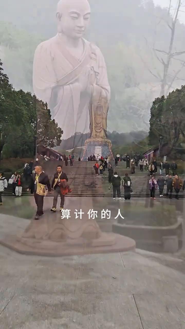 零度禅语。害你的人会百病缠身，骗你的人会百财不入，算计你的人正在替你吃苦，欺负