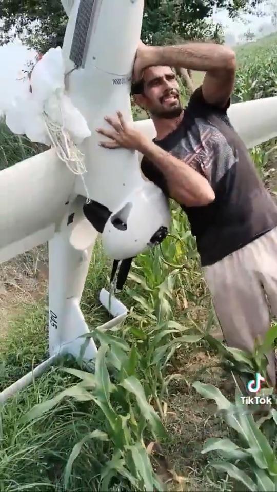 巴基斯坦的玉米地里，农民捡到了一架印度的无人机，整体完好：扛起来就走。印巴空