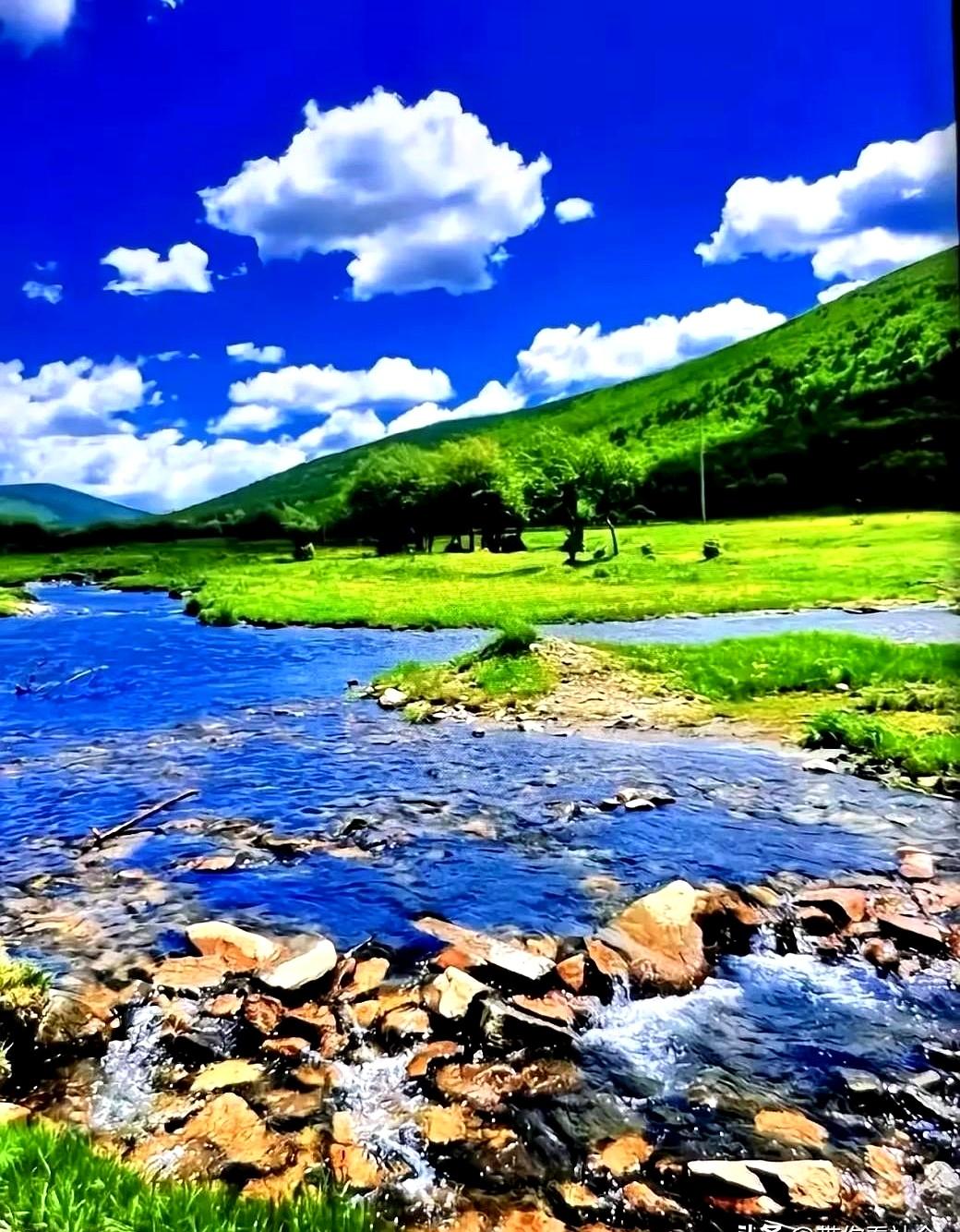 40℃的高温天，把你扔进蒸笼里再泼盆热水是啥感觉？济南一位硬核大叔受够了这罪，