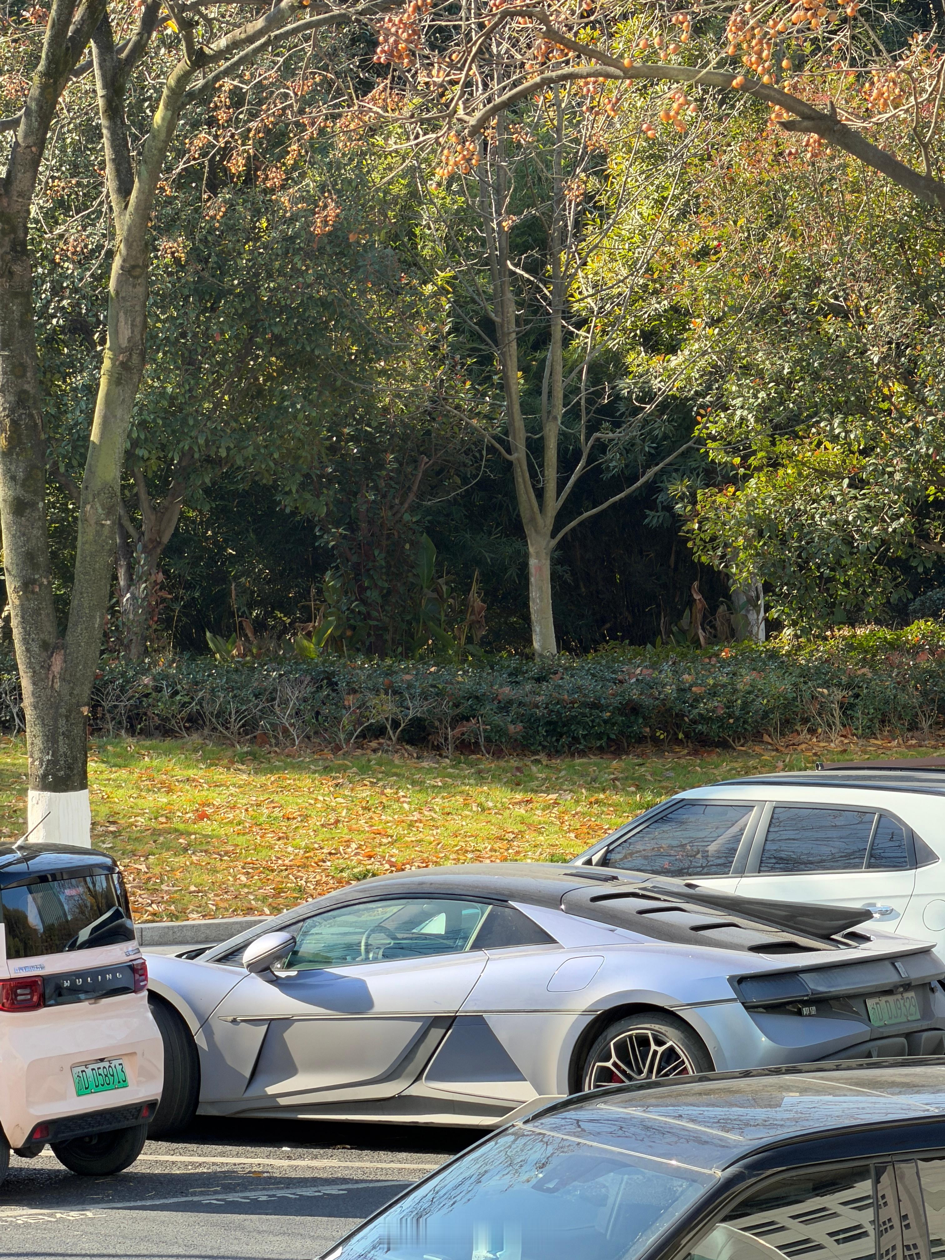 头一回看见仰望U9这个实车还是浙D