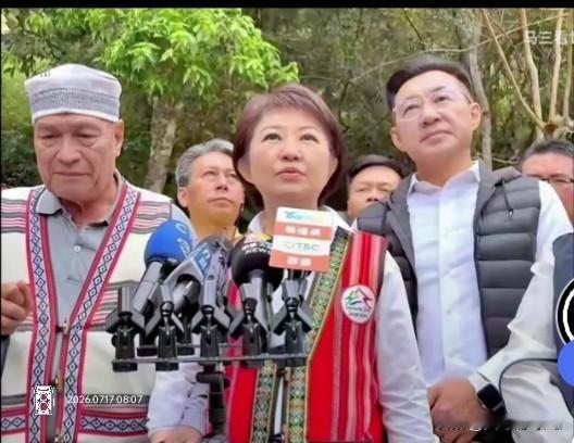 全代会前公然逼宫！卢秀燕夺权野心不藏了，妄图架空郑丽文纯属痴人说梦国民党近