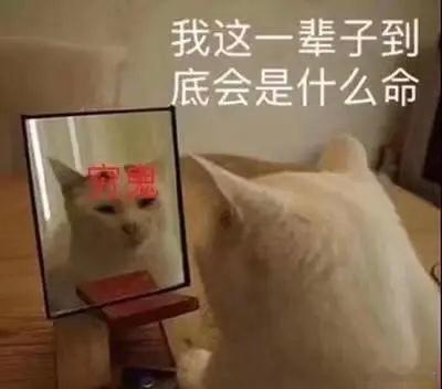 芜湖，今天看到个有意思的数据。2025年6月末，招行私人银行客户共计182740
