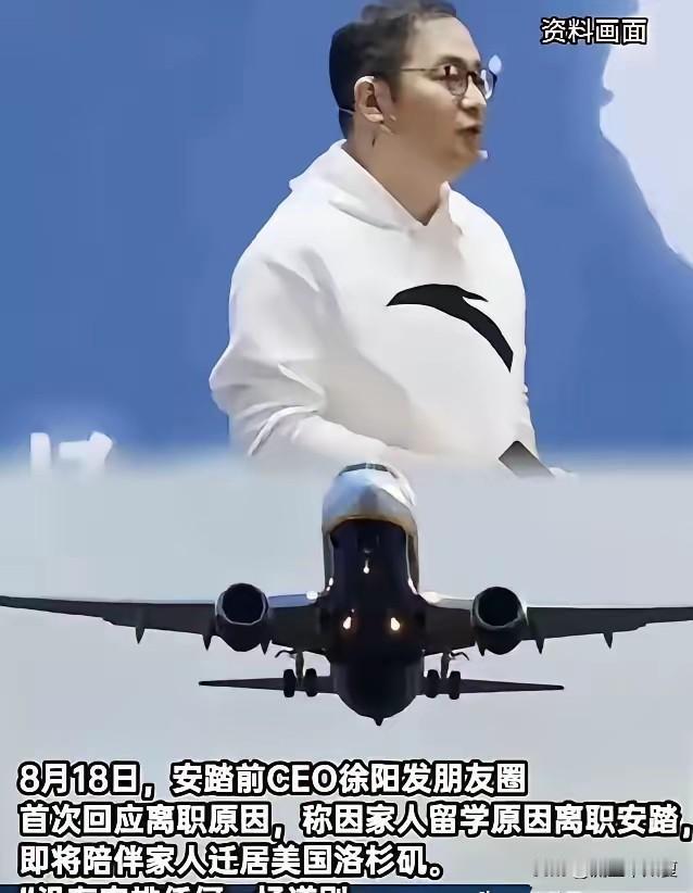 徐阳这一走，可把国货最大的遮羞布给撕开了。他这一走，安踏慌了神，后面那些国货
