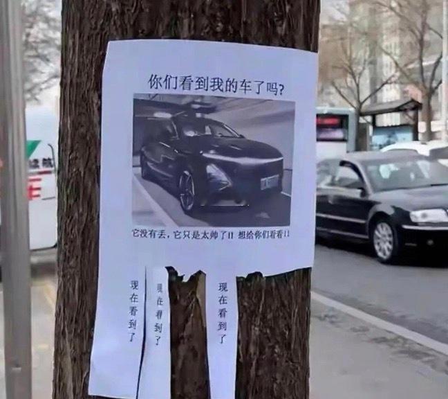 还真的被他装到了，车主一定是个逗比。