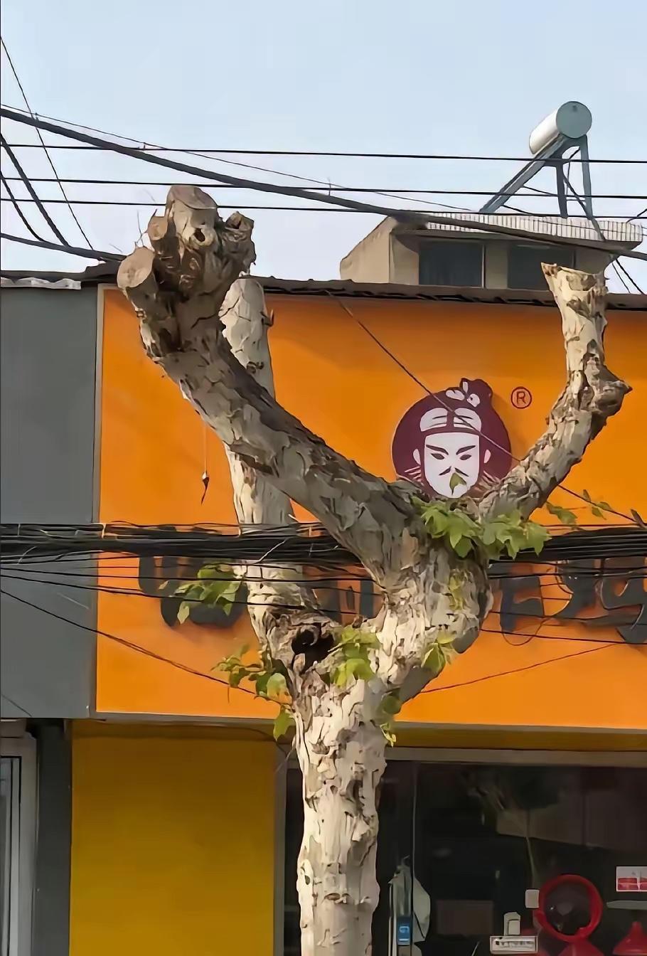 女子怎么也没有想到自己的小店门口，一夜之间就成了一个打卡的网红地点，很多年轻人都