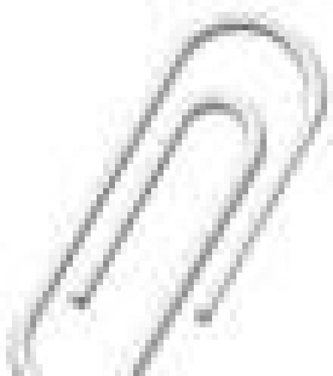 广西这几天天气暖洋洋的，简直像没入冬似的！上周末，南宁人蜂拥到邕江边支帐篷、烤串