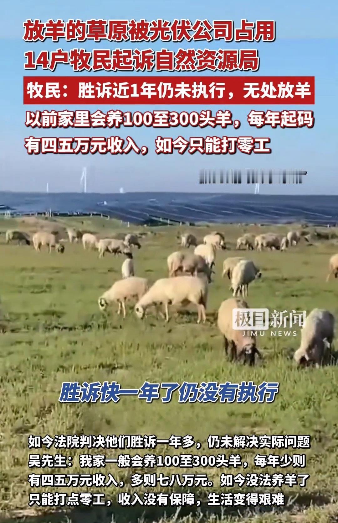 牧民草场被光伏板占据，无处放羊，状告当地自然资源局，虽然官司赢了，但是执行依然是