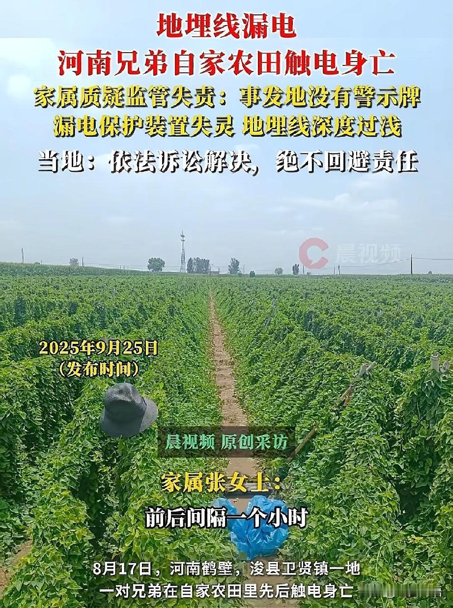 “悲惨啊”，河南一对兄弟在灌溉农田时哥哥触电身亡，弟弟去营救时也被电流击倒，送医