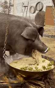 这是不是你兄弟[笑着哭]