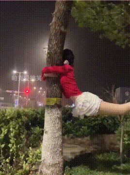 大风天看出体重重要性，美女只能抱着树，依旧管不住下半身！