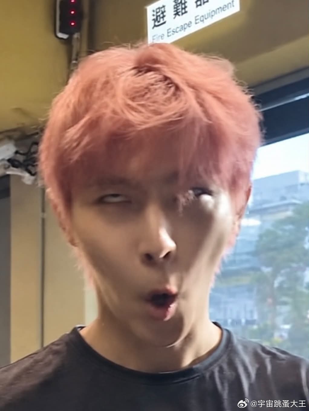 好想看真人版啊​