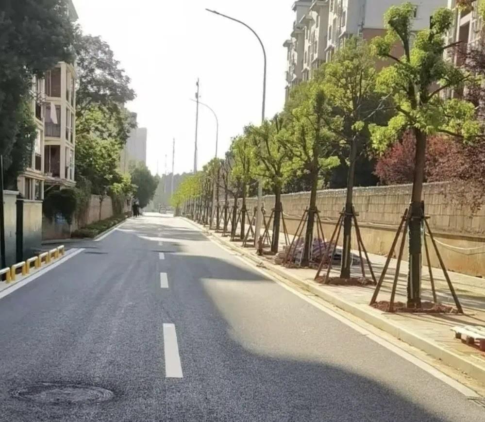 武汉城事！近日有网友反映：盘龙城摩卡小镇南门道路已经铺沥青了，标线已经画好了