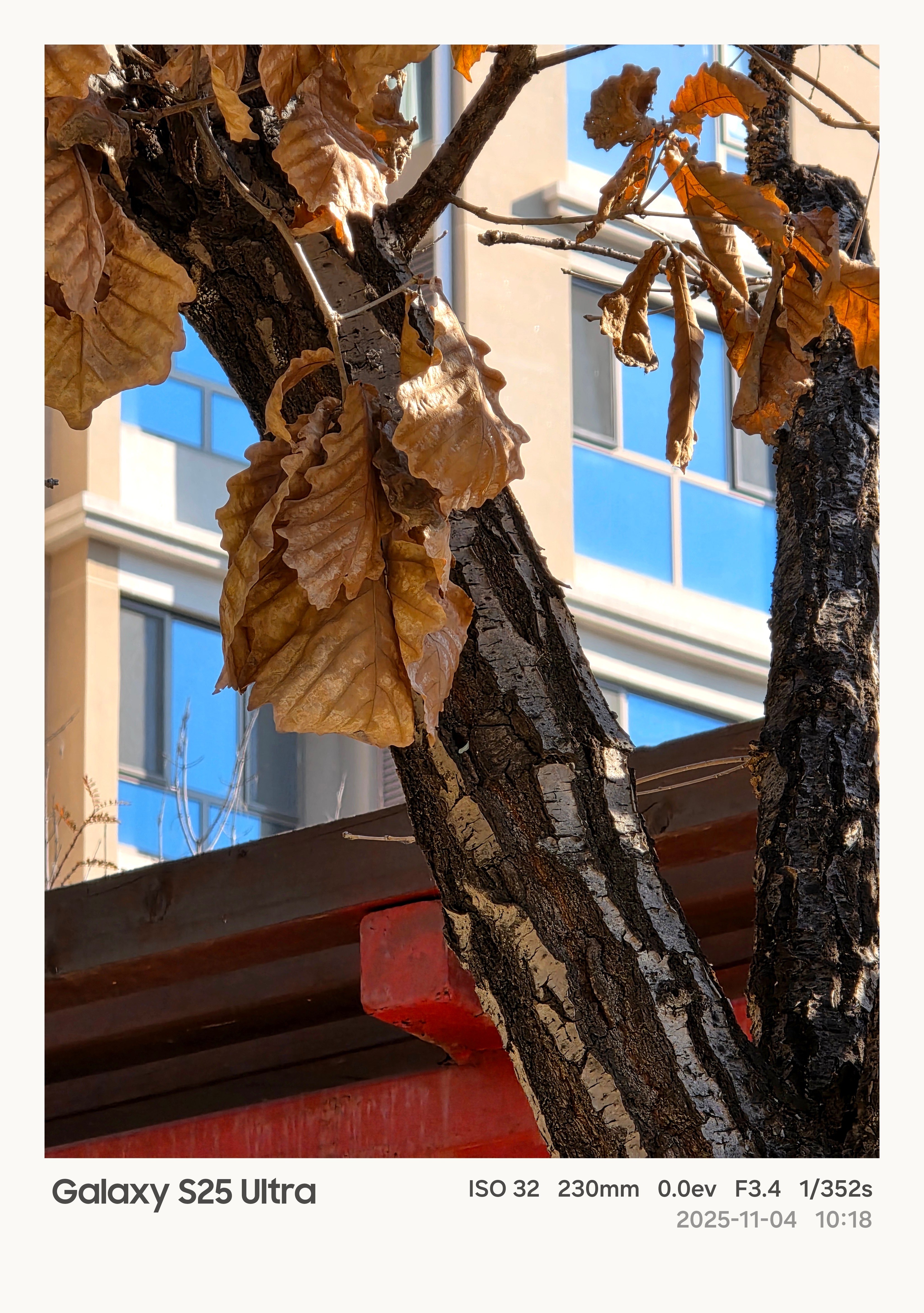 GalaxyS25Ultra拍照对比OPPOFindX9Pro