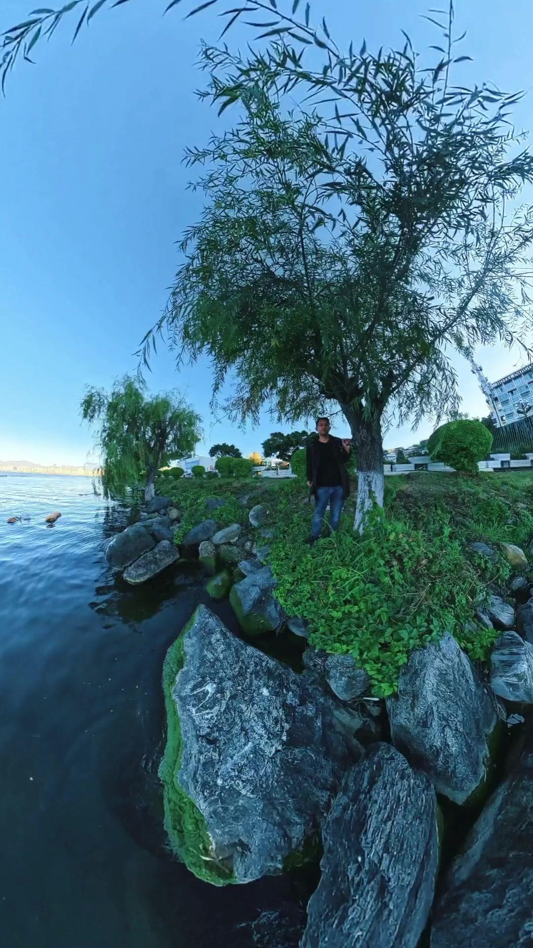 洱海冬景也太治愈了吧！🌊湛蓝的湖水映着远处的苍山，海鸥时而掠过水面，留下一圈圈