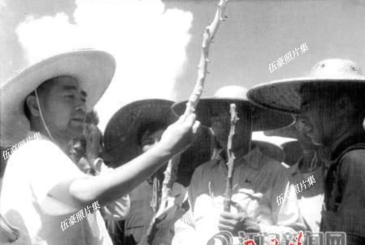 1958年7月4日，周恩来总理在广东新会视察期间，特意来到南宋末代行宫遗址——崖