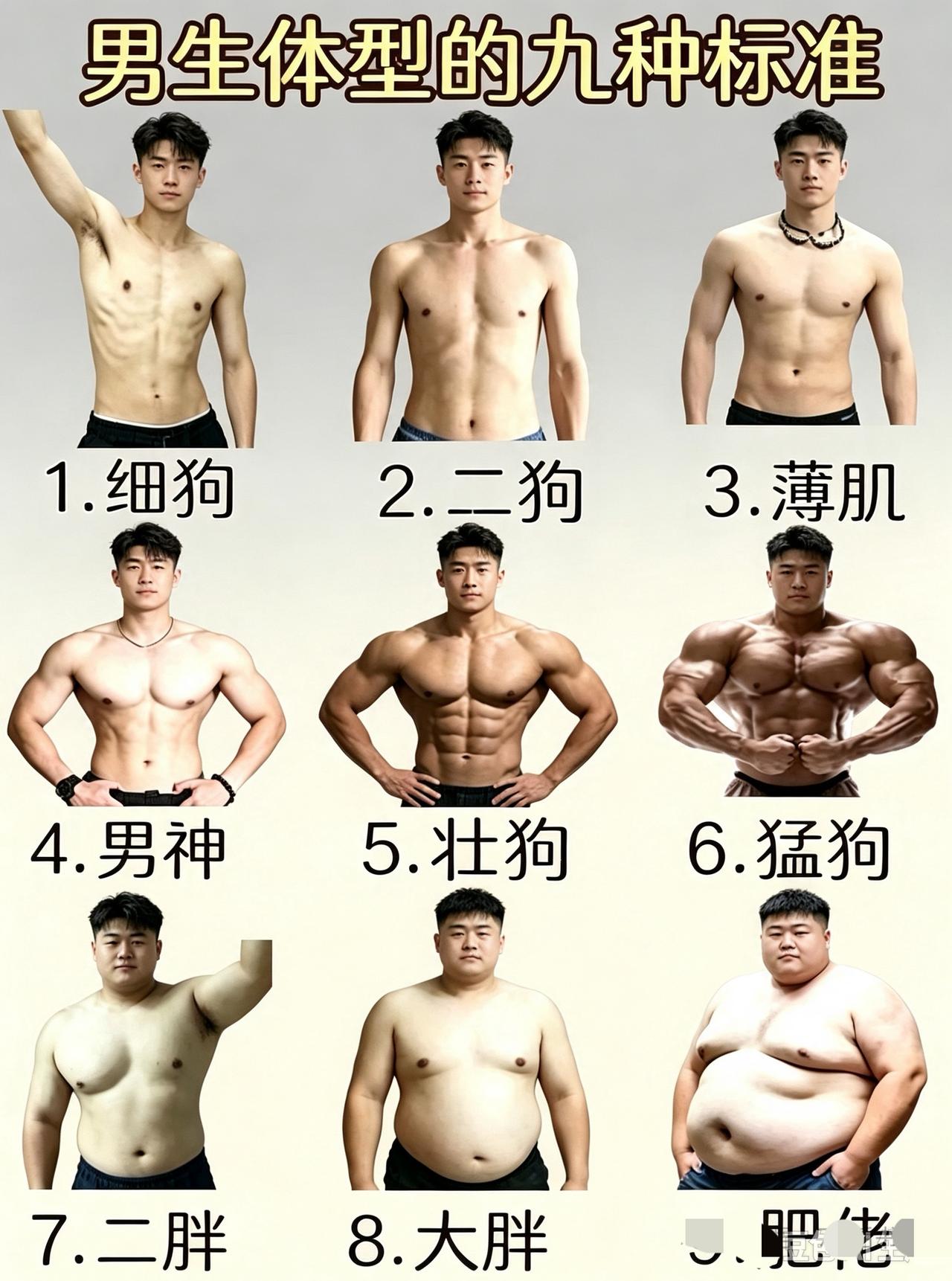 男生9种身材对照表，看看你属于哪一种？我，大胖或二胖！男生身材排行榜