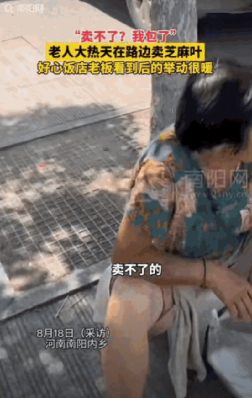 8月18日，河南南阳，一名饭店老板心酸的发现，一位老人大热天在路边卖芝麻叶，过了