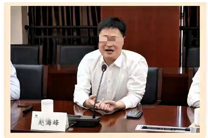 明眼人都能看出来。这件事没这么简单。郁廷栋和赵海峰被查，但很多网友都在说，最