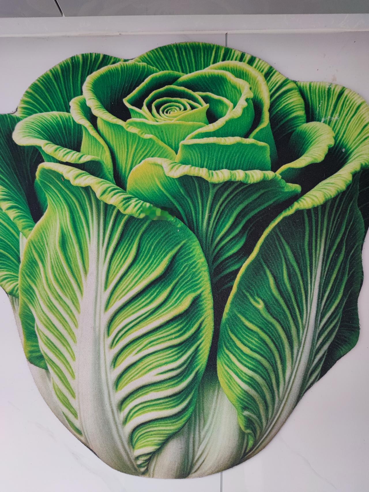 最近发的一个菜叶都火了，[汗]试试这白菜是百财还是菜白！[笑着哭]