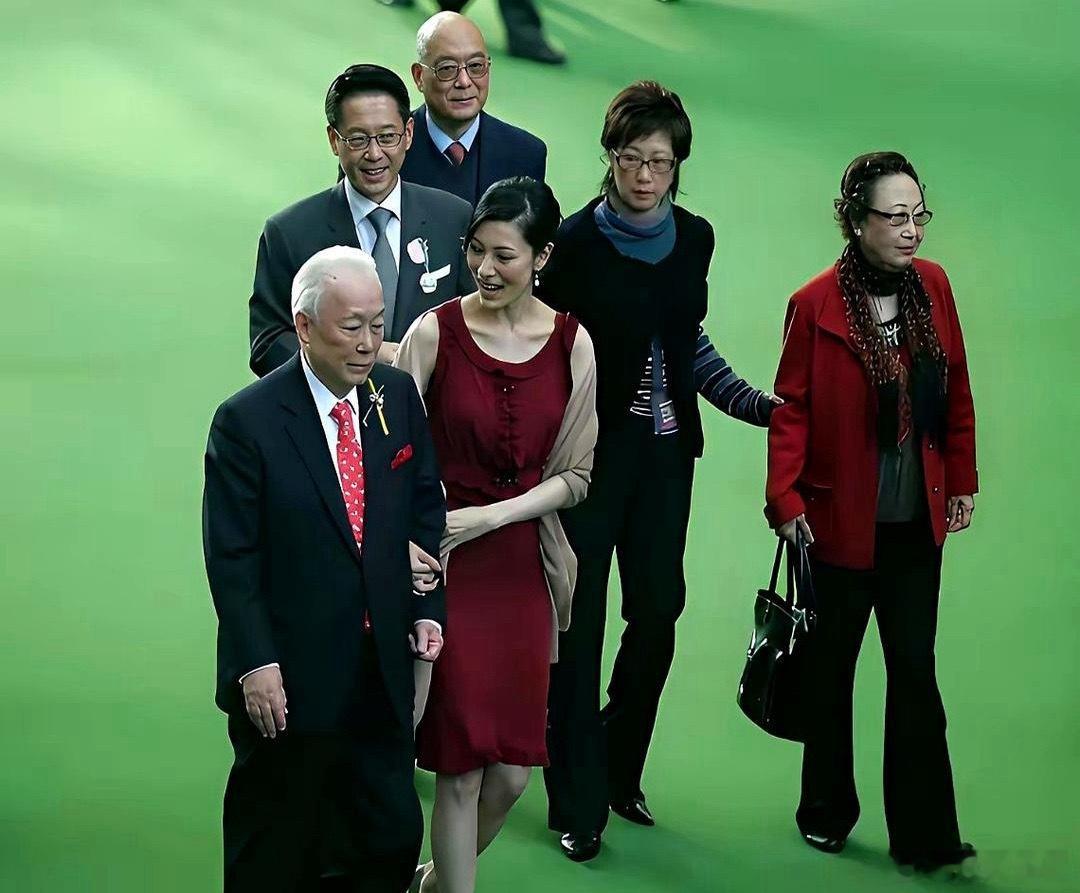 李嘉欣当初嫁给许晋亨时，公公许世勋和婆婆简幸春其实非常反对。