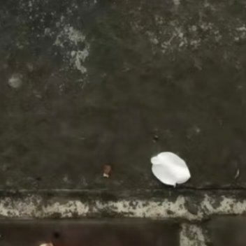 四季山庄金鱼草种植：1.土壤选择：使用疏松肥沃、排水良好的土壤，推荐腐叶土、园土