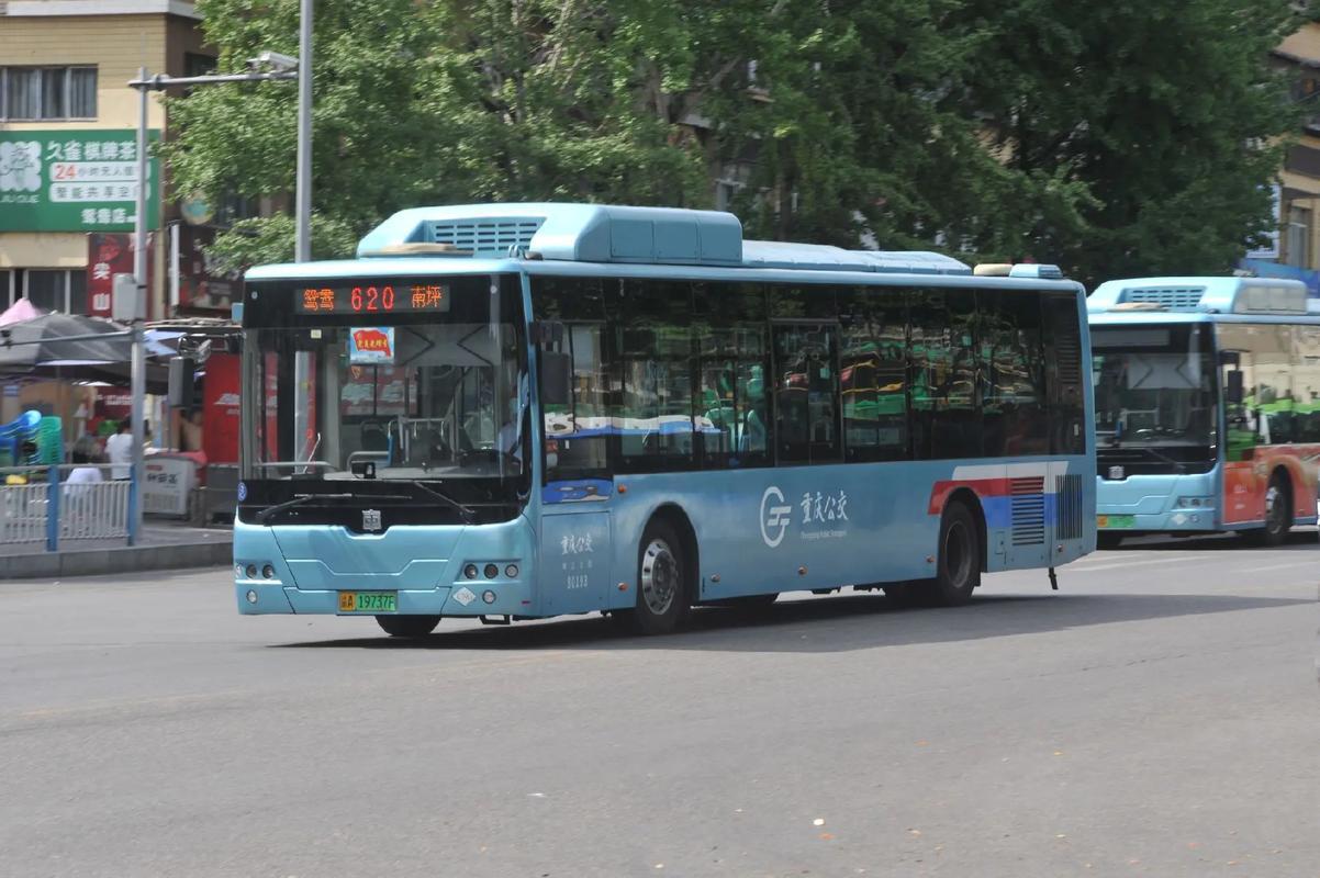 公交车免费老年卡究竟该不该取消？有人认为老年人免费乘坐次数过多，影响了公交企业的