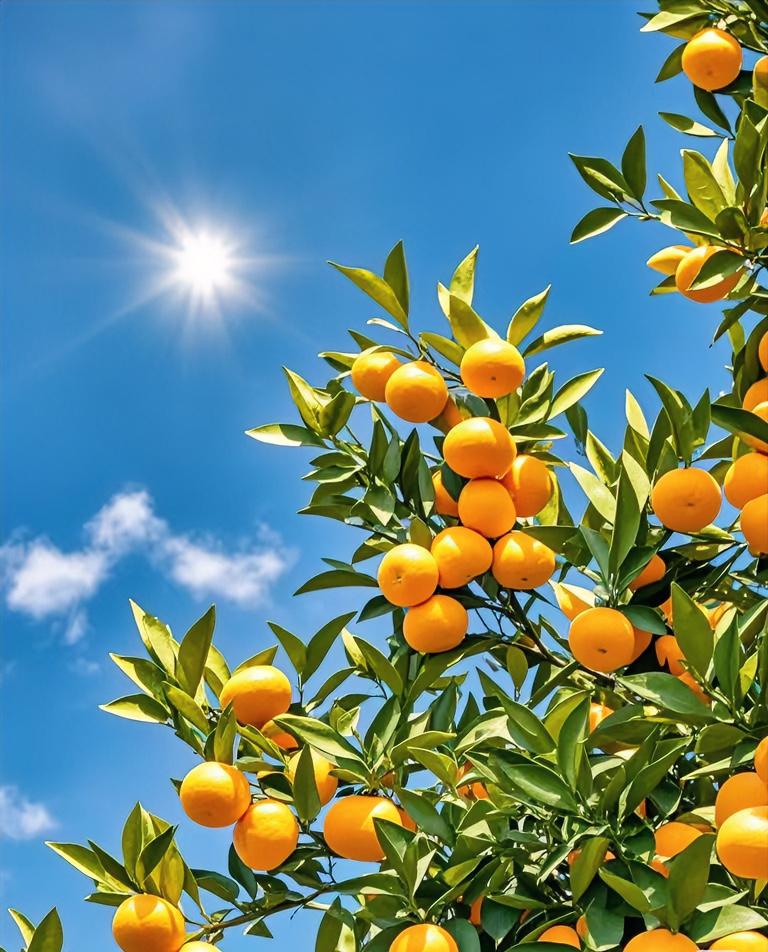 一张图证明秋天来了一场秋风一场爽，缠缠绵绵吹了近十天的秋风今日总算歇脚。虽说天空