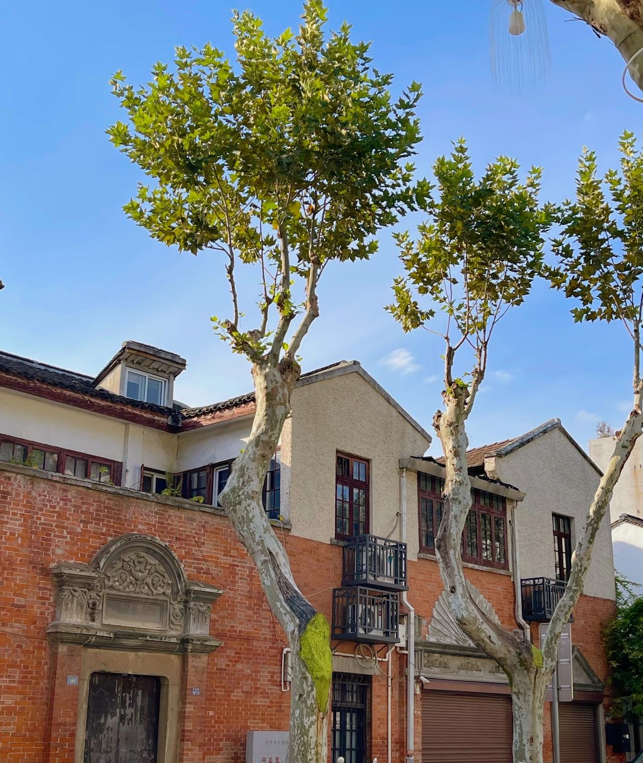 刘震云Nice｡˚𓆛男欢女爱，；男人单身久了，看谁都像貂蝉；女人单身久