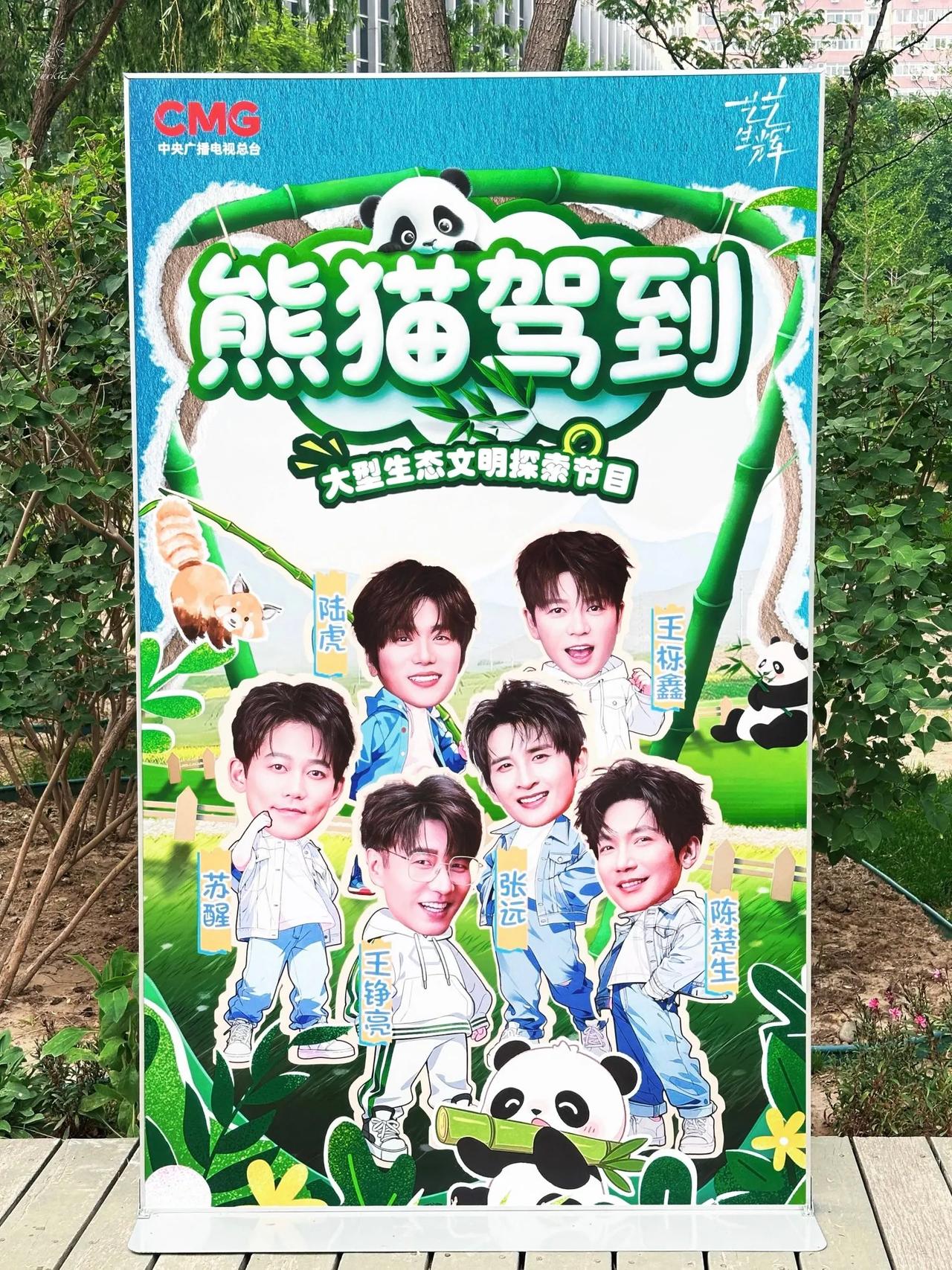 再就业兄弟们要有新团综了吗？好惊喜哦！这首《熊猫驾到》和春晚的《登高》是一个旋