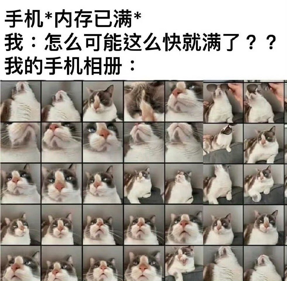 🥰​​​