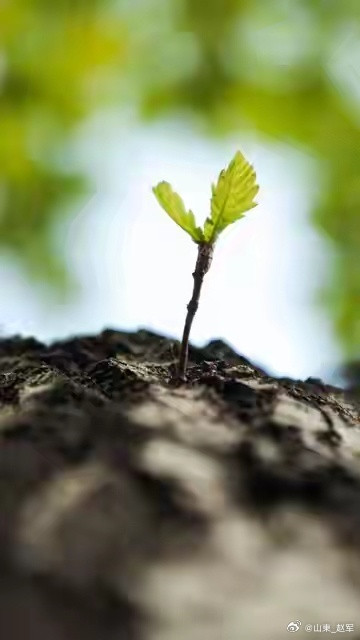肾精不是光靠补！生于脾、耗于肝、乱于心，一方从心调到肾很多人一肾虚就猛吃补肾药，