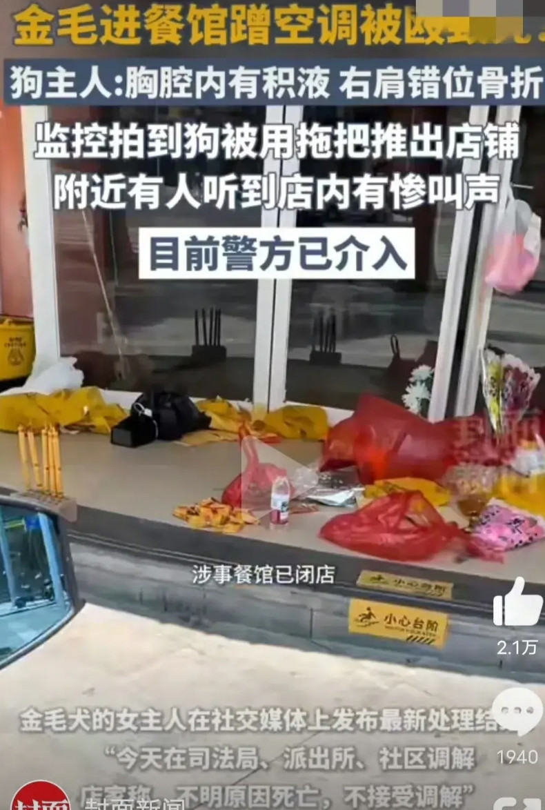 金毛李墩墩主人准备起诉有的网友支持狗主人，有的网友支持餐馆，我个人觉得多一事