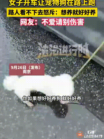 江苏南京一名女子想把小狗带去宠物医院检查，但又担心小狗弄坏车内的装饰，于是就把小