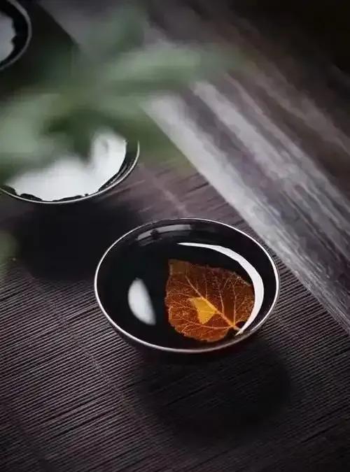 中医教授曲黎敏：“最顶级的养生就是把自己变成一个傻子，别人讽刺你听不懂，别人骂你