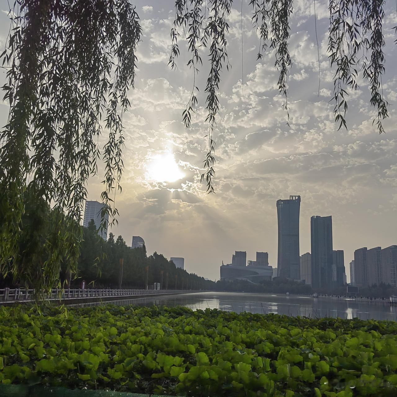 午饭时，大三的闺女今天打来电话，语气中带着无助与无奈。“妈妈，这周日我们要进行