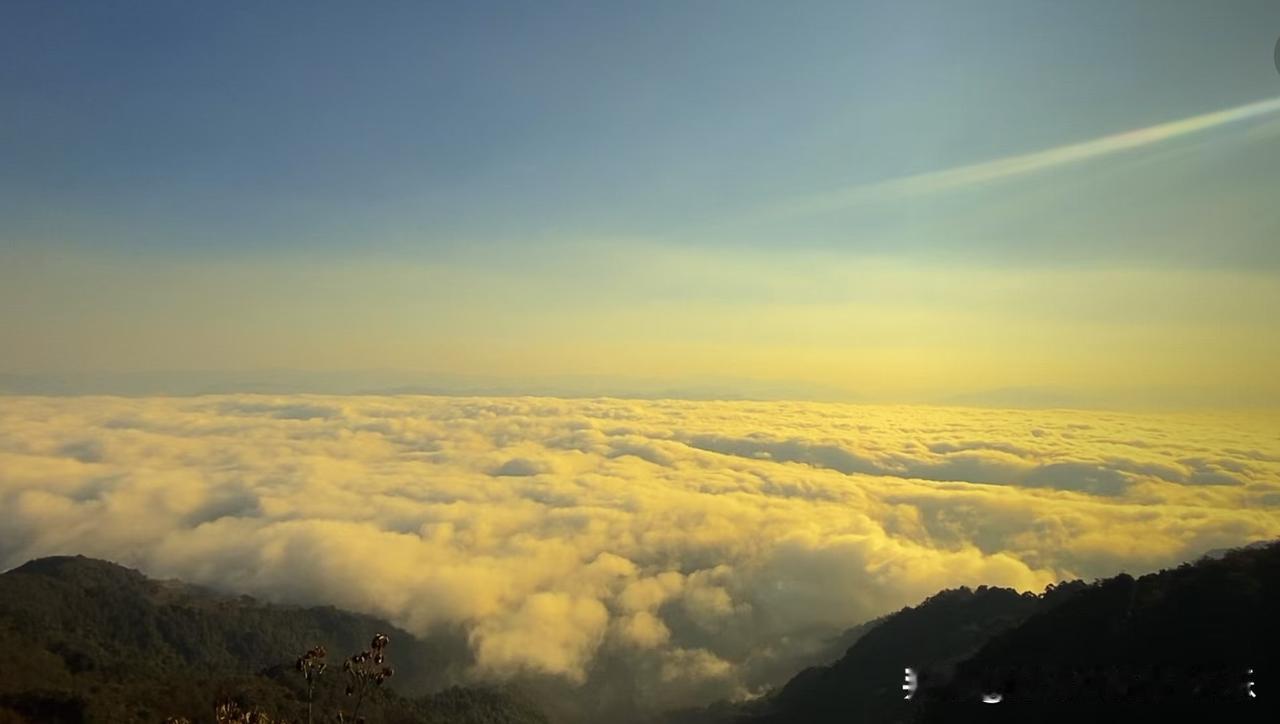 说个冷知识，法国的影视明星，绝大多数是移民国外了，移民是因为法国的税收太高了。