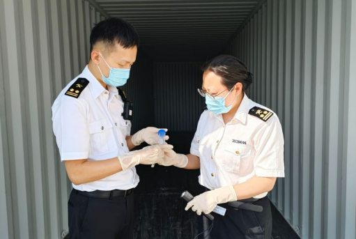 又是美国人！宁波海关截获一批蚊子，里面含有大量瘟疫 宁波海关六月底截获的那批