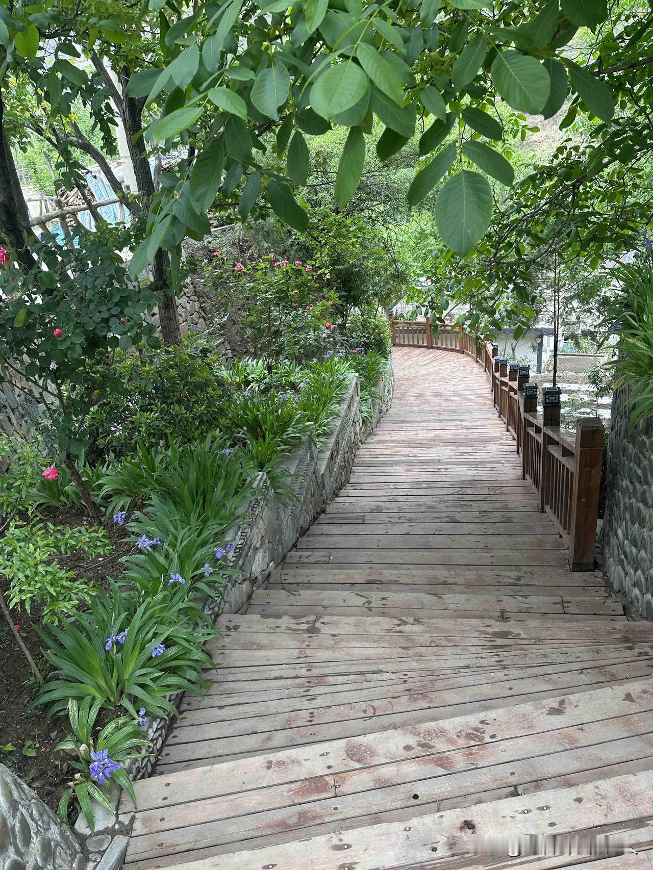 分享一张你最近随拍的照片故乡的原风景