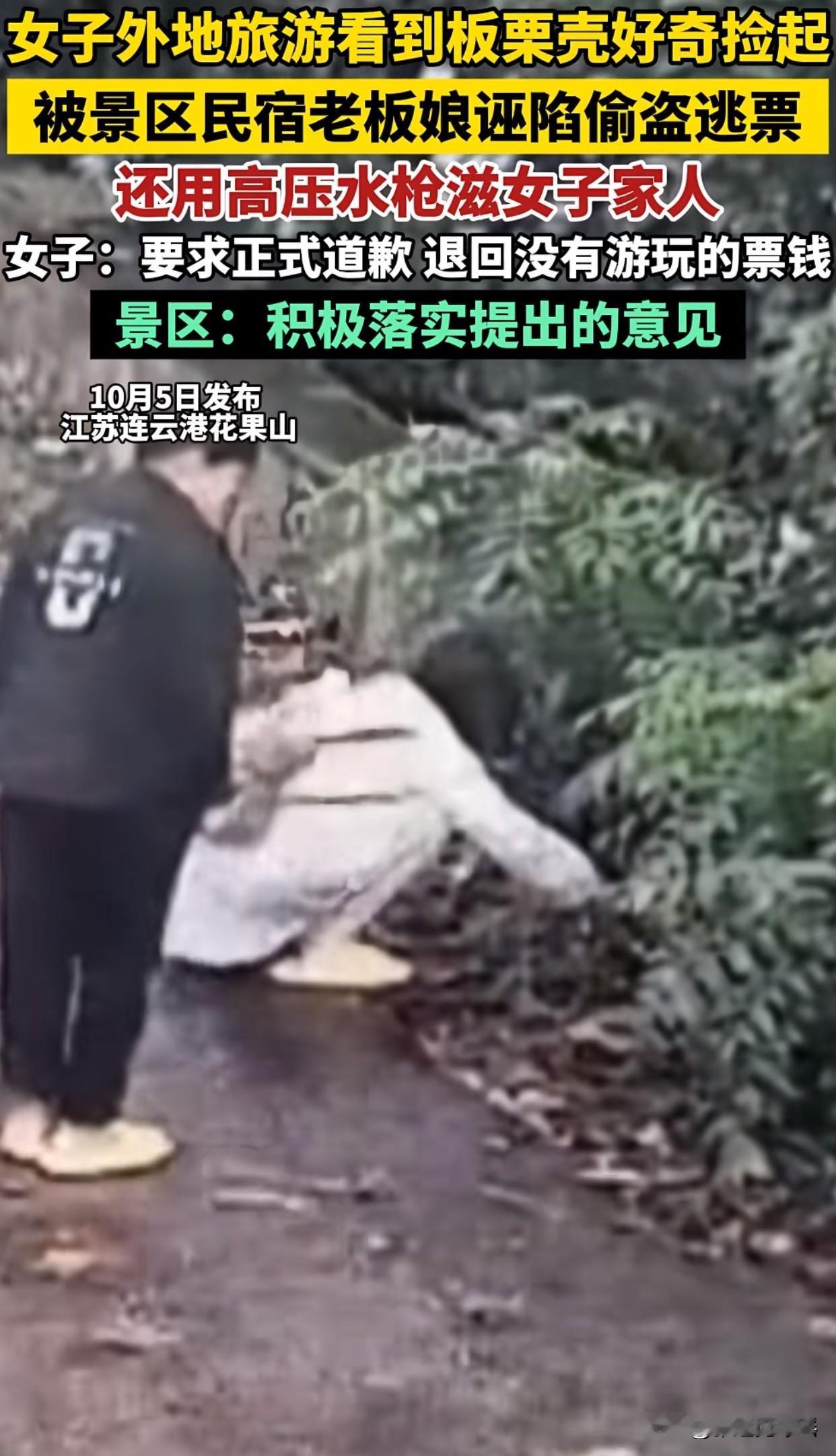 “连云港这次可算出名了！”国庆期间，有外地游客捡了路边的几个板栗，结果被民宿老