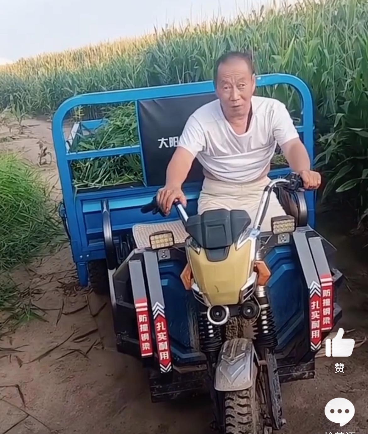 老头苞米地免费进货，被抓现行。苞米地主人说，你掰两个吃没问题，开三轮车来拉太过分