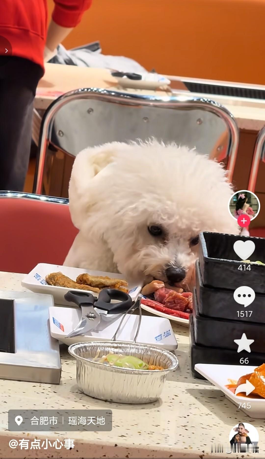 有些人的行为已经不是不合适，而是已经离谱到突破大气层，最近又冒出几起，把狗带进餐