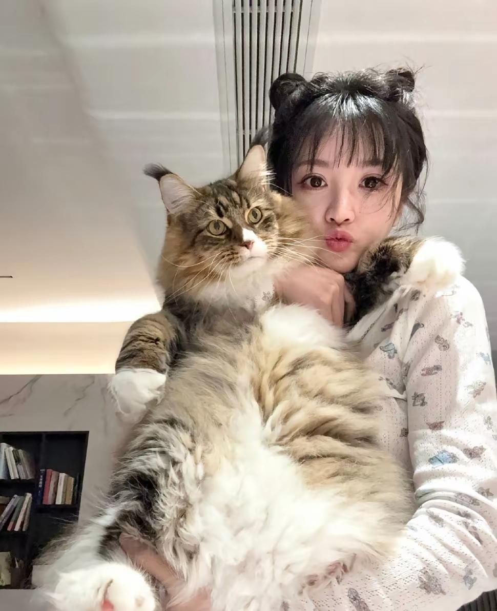 田曦薇的🐱🆚李一桐的🐶，感觉[吃瓜]“康康大王”好大一只，而“肉肉”不